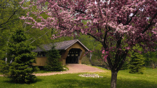 Small wooden building covered porch - a pathway free wallpaper