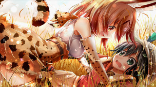 Girl cow grass field cat - her back free wallpaper