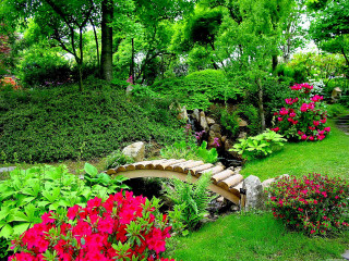 Garden bridge flowers path hill - a path free wallpaper