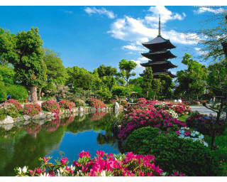 Pond flowers pagoda blue sky - a few person free wallpaper