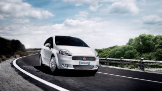 White car forest road fence - alesso baldovinetti free wallpaper