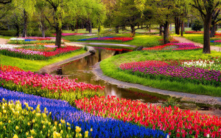 Park river flowers bridge nature - a park free wallpaper