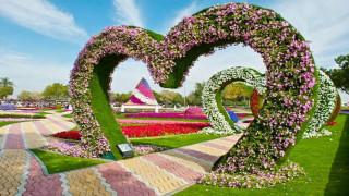Heart shaped garden walkway flowers - bouchta el hayani free wallpaper for desktop