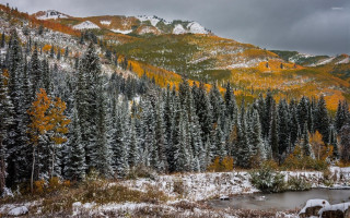 Mountain lake snow trees autumn - yellow leaf free wallpaper