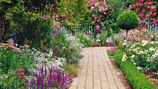 Garden flower path fence impressionist - flower and trees free wallpaper