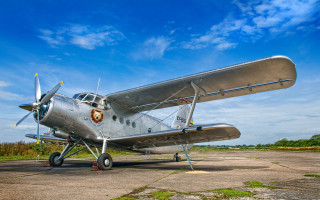 Small airplane tarmac grass trees - dieselpunk free wallpaper