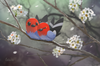 Birds branch white flowers blurry - the background and a blurry background behind them free wallpaper