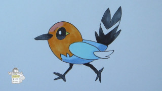 Blue orange bird black wings - bird free wallpaper