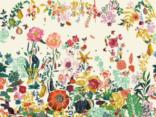 Flowers plants white background border - a painting of flowers free wallpaper