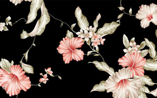 Black background pink white flowers 3 - digital painting free wallpaper
