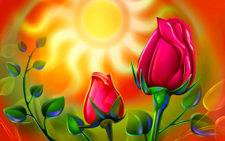 Roses sun red green leaves - the sun in the background free wallpaper