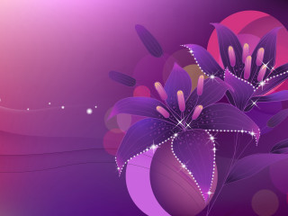 Purple flower purple background pink - felipe seade free wallpaper