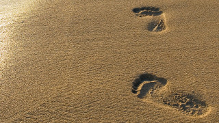 Footprints sand water bird flying - eric de kolb free wallpaper
