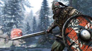 Man helmet armor sword shield 2 - tree and snow free wallpaper