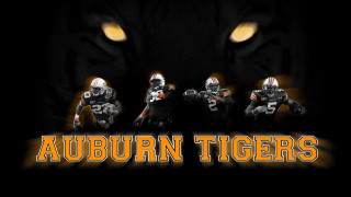 Tiger football players auburn tigers - gritty free wallpaper