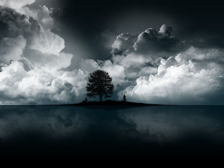 Lone tree lake clouds man - a small island free wallpaper