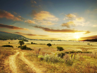 Dirt road field sunset clouds 4 - a dirt road in a field free wallpaper