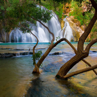 Waterfall tree foreground river background - free nature wallpaper