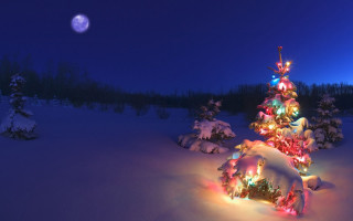Christmas tree snow night full 9 - full free wallpaper