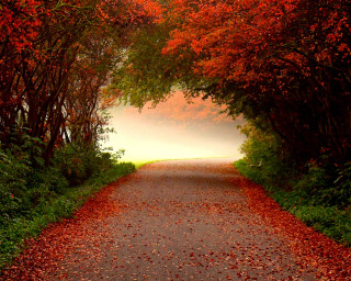 Road red tree lighthouse umbrella - a light house in the distance free wallpaper