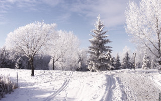 Snowy road trees fence blue - cloud above free wallpaper