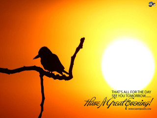 Bird branch sunset quote evening - elizabeth durack free wallpaper
