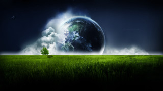 Green field tree blue sky - a green field free wallpaper