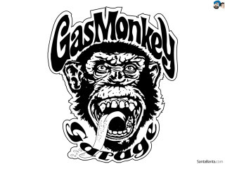 Monkey tongue out gas monkey - a monkey with free wallpaper