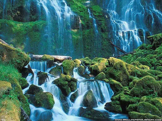 Waterfall moss rocks water log 4 - the rock and water free wallpaper