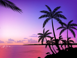 Sunset palm trees boat purple - palm tree and a boat free wallpaper