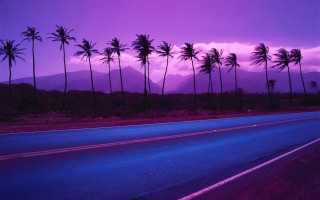 Palm trees road purple sky - david lachapelle free wallpaper