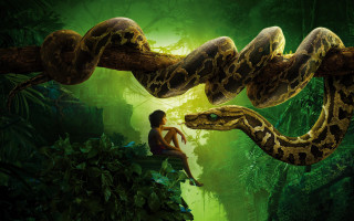 Woman sitting branch snake jungle - disney free wallpaper