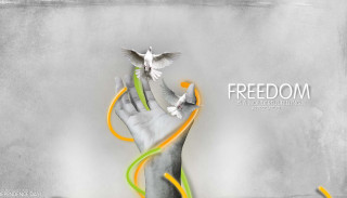 Hand bird flying streamers air - a message below free wallpaper