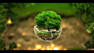 Tree glass vase inside another 2 - a white ribbon free wallpaper
