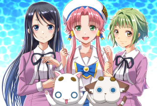 Anime girls cats back holding - their back free wallpaper