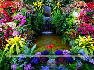 Garden waterfall colorful flowers plants - rich vivid color free wallpaper