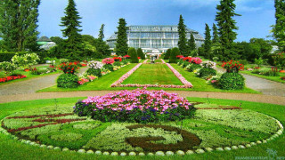 Garden clock flowers glass building - afewerk tekle free wallpaper