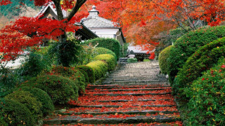 Steps house red leaves trees - eishōsai chōki free wallpaper