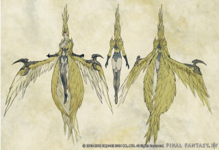 Bird long wings long tail - smaller free wallpaper