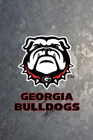 Dog face gray background georgia - logo free wallpaper
