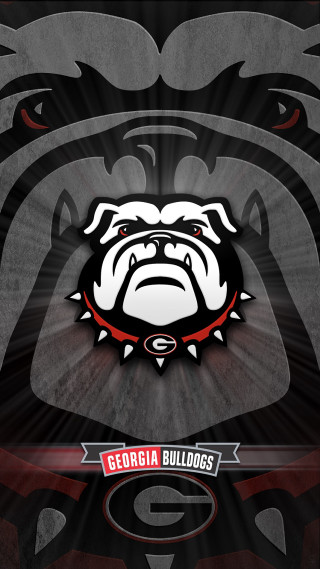 Black white bulldog red collar - a red collar free wallpaper