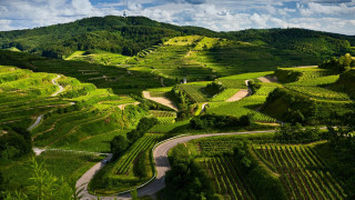 Lush valley winding road german - road in the middle of it free wallpaper