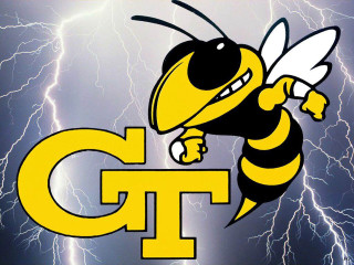Hornet holding g t logo - a. b. jackson free wallpaper