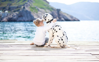 Little girl dock dalmatian dog - a little girl free wallpaper