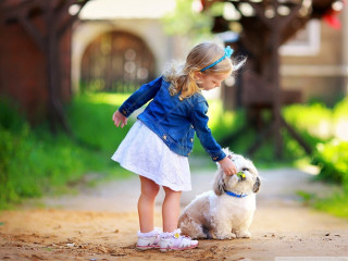 Little girl petting small dog - a little girl free wallpaper