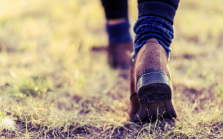 Person walking field boots dog - a frisbee free wallpaper