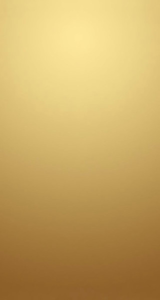 Gold background white black cat - a gold background free wallpaper