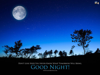 Night sky full moon trees - the middle free wallpaper
