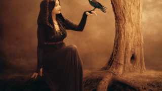 Woman long dress holding bird - a long dress holding free wallpaper