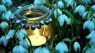 Honey jar field flowers candle - ann thetis blacker free wallpaper